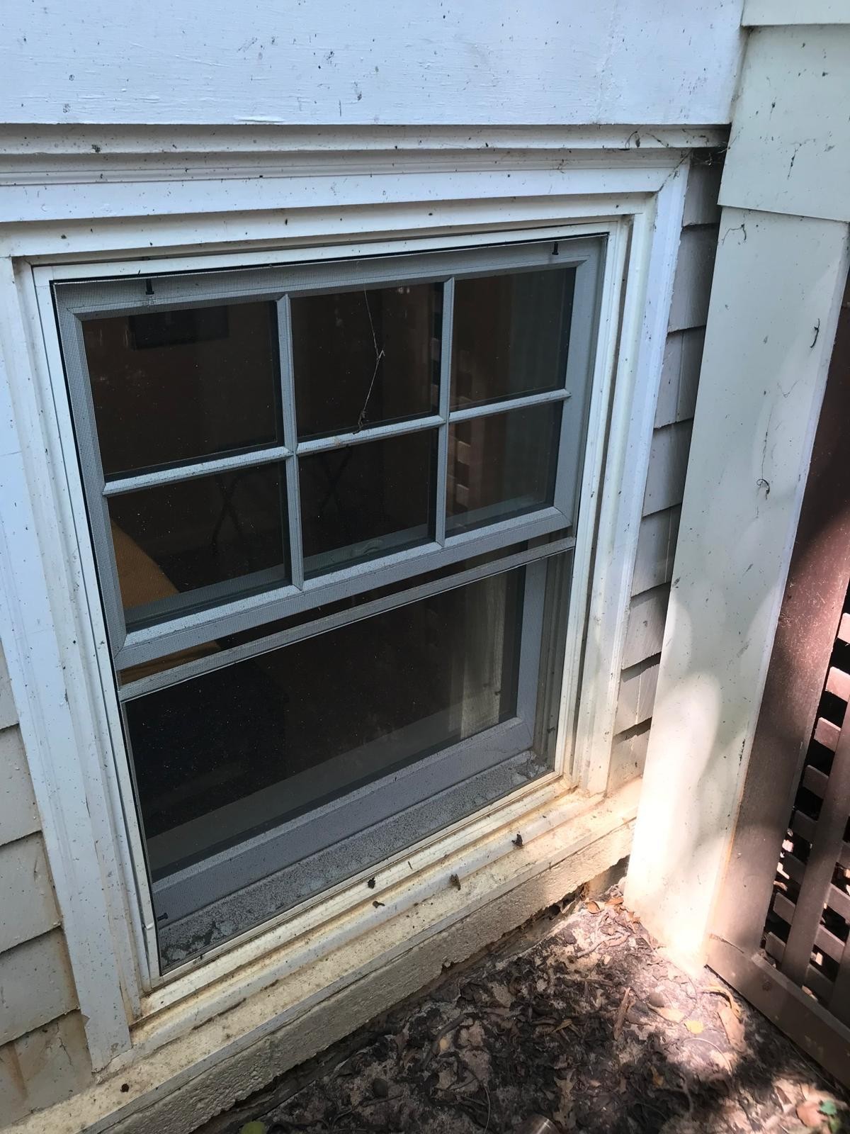 Before Image